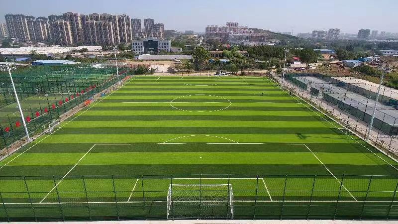 50mm S Shape grass for Sports Park in Shanghai