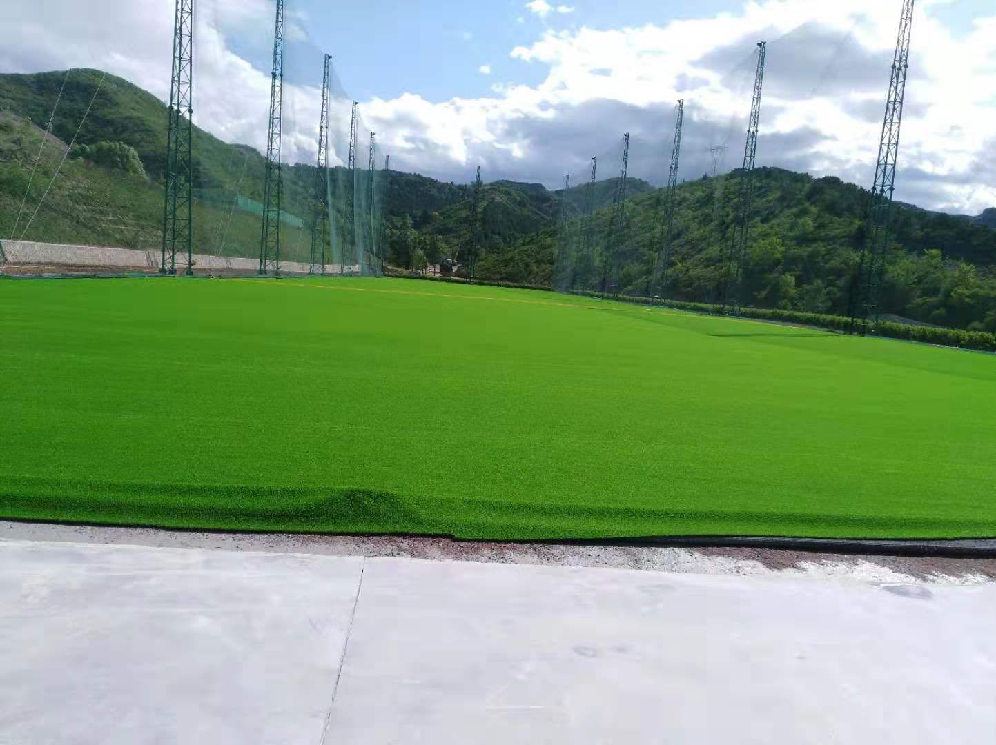 25mm Premium grass for RYB kindergarten